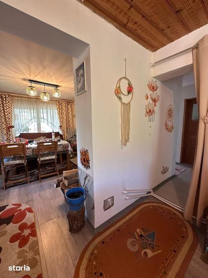 De vanzare casa ?i teren cu suprafata de 13.000mp, 52.000 euro - 15