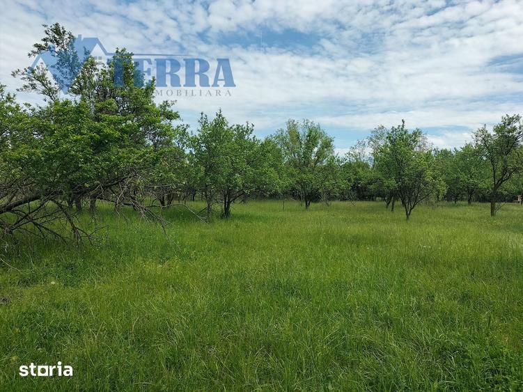 Casa cu teren de 2.300 mp ?i livada in Rade?ti Stalpeni, Arge? - 4