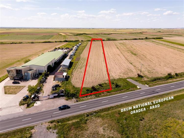 Teren intravilan de 7959 mp, în Nojorid