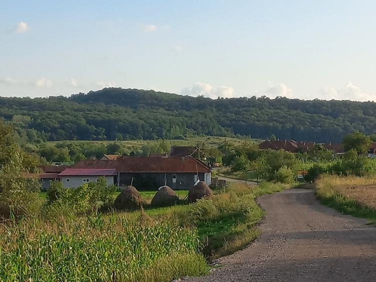 Teren de 17297 mp, în Almașu Mic