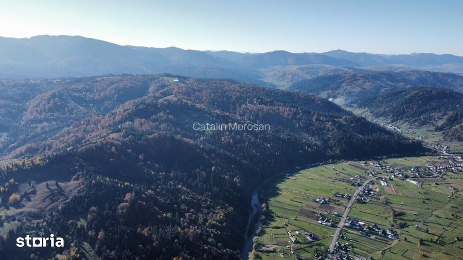 Vindem 53360 mp Bucovina - Vama