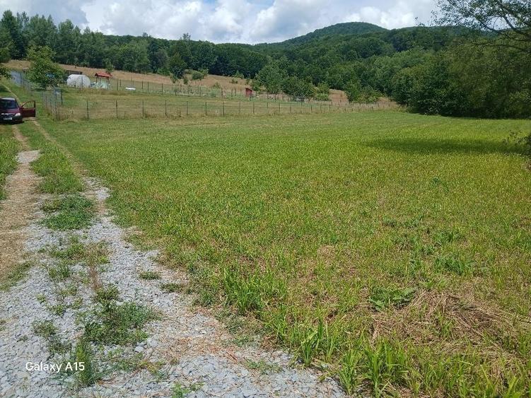 Teren de 1500 mp, în Săcădat