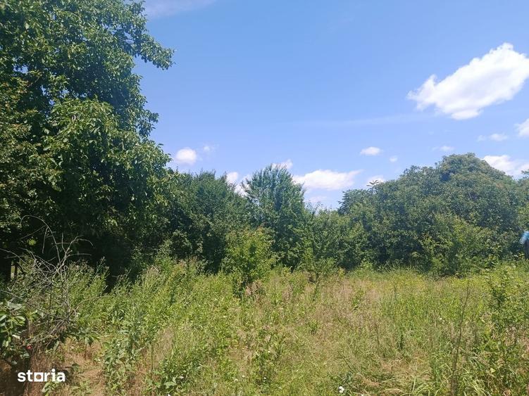 Casa de vanzare in Pitaru, judetul Dambovita 35.000 negociabil - 8
