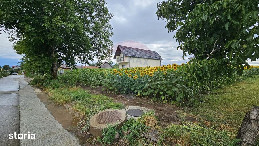 Teren de 2600 mp, în Lisaura