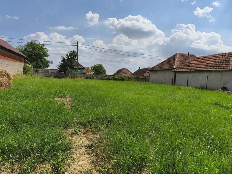 Teren în Tășad