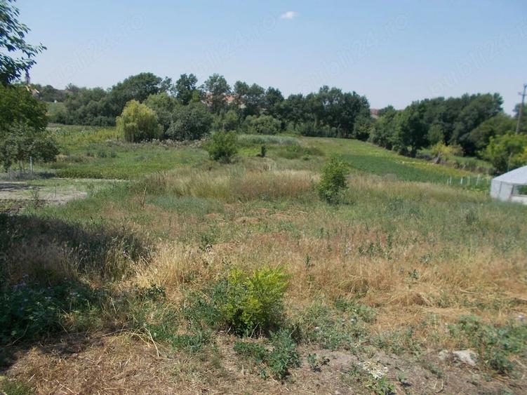 Casă cu 4 camere cu Teren 1906 Mp în Sânandrei