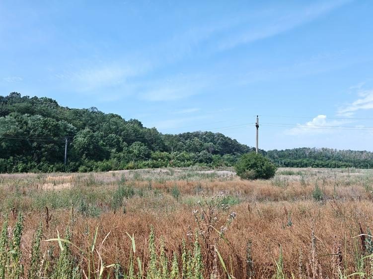 Teren Construcții intravilan de 35000 mp, în Balotești