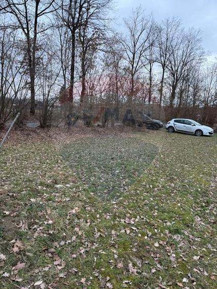 Teren Construcții intravilan de 1000 mp, în Rus