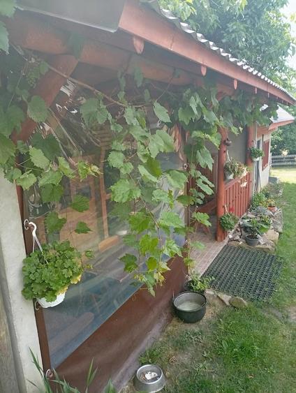 Casă cu Teren 986 Mp în Central