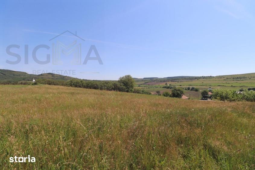 Teren de 3834 mp, în Vultureni