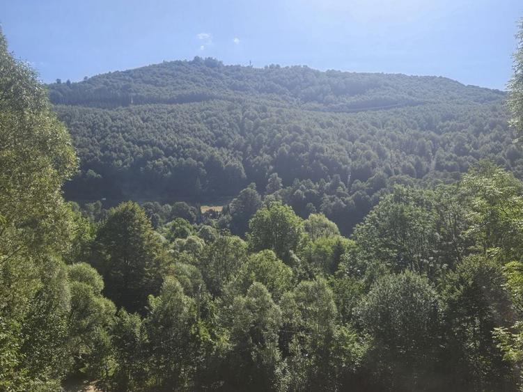 Teren de 2000 mp, în Teșila