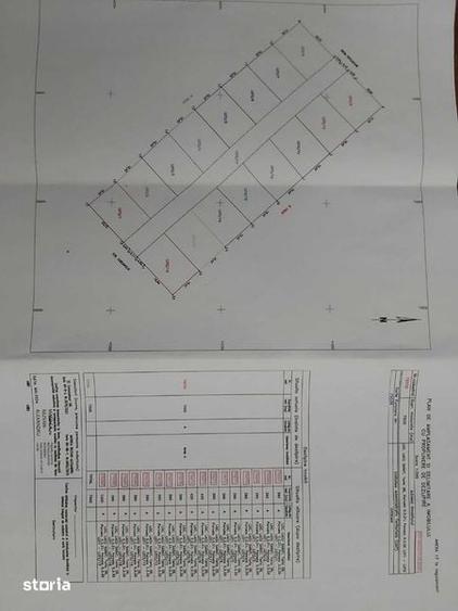 Teren intravilan lacu sarat - Braila - 3