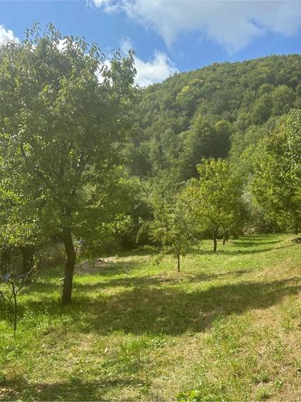Teren de 2000 mp, în Malu cu Flori