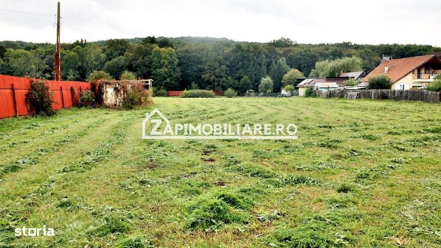 Spațiu comercial, în Corunca