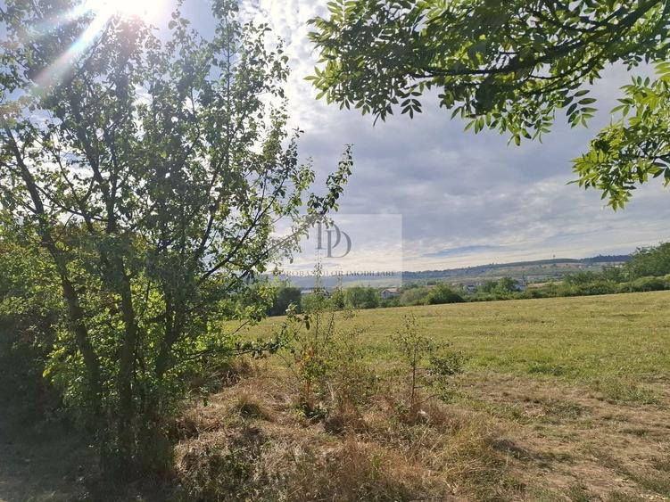 Teren Construcții intravilan de 37976 mp, în Bună Ziua