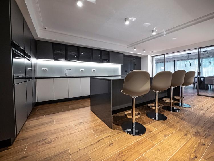 Duplex cu 7 camere cu Teren 377 Mp în Herăstrău
