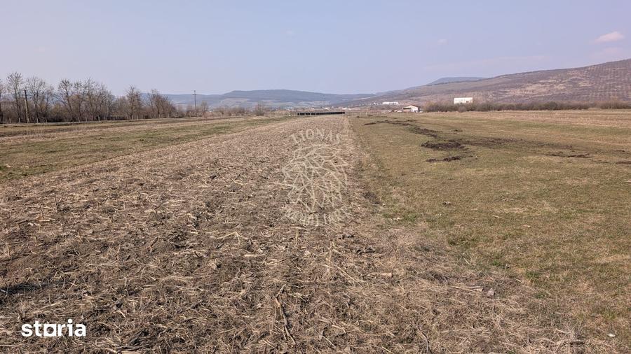 Teren de 1500 mp, în Cetate