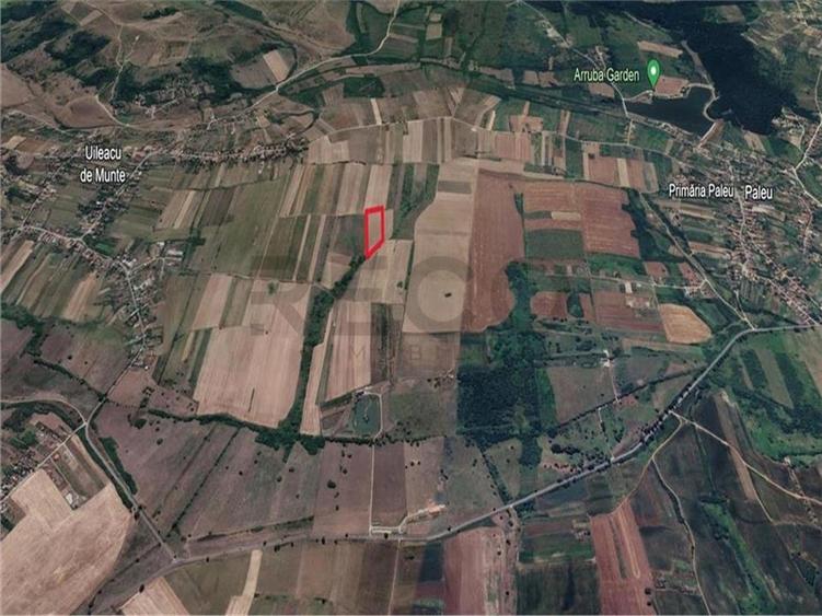 Teren Construcții intravilan de 7251 mp, în Uileacu de Munte