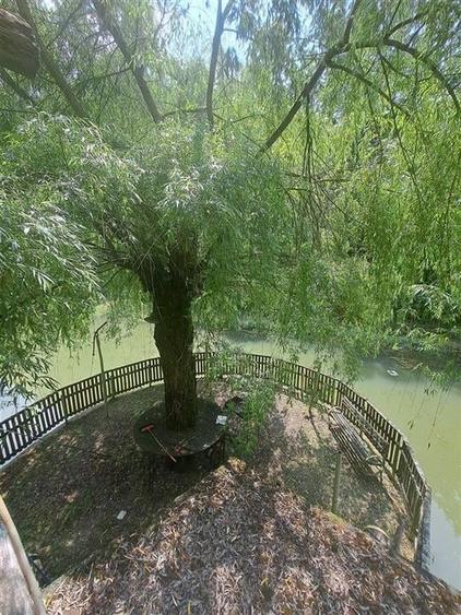 Casă individuală cu 6 camere cu Teren 2455 Mp în Pădurea Neagră