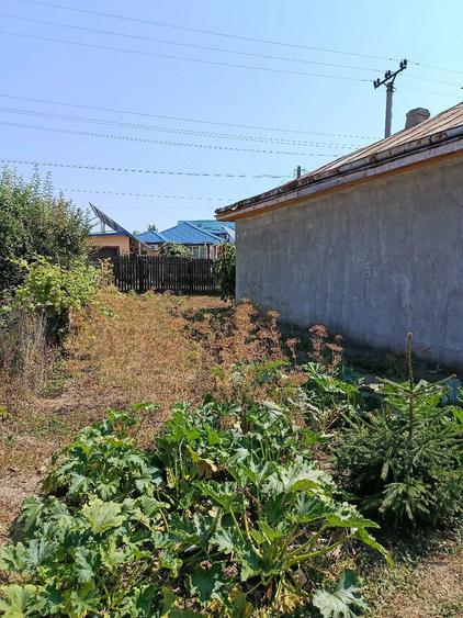 Casă cu Teren 450 Mp în Sârca
