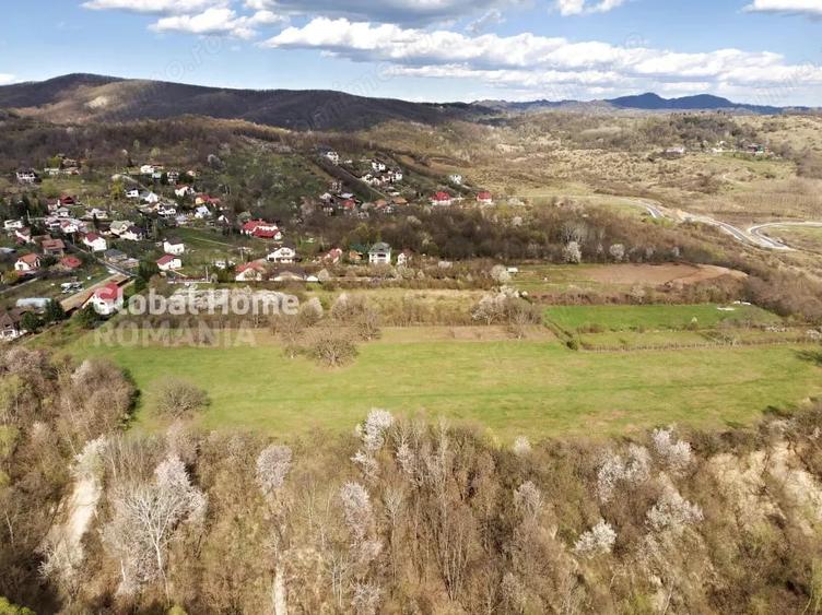 Mountain Plateau - 23.345 SQM - Exclusive Estate | Jud Prahova - Valea Prahovei - 4
