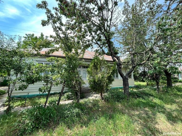 Casă cu Teren 1925 Mp în Gara Berheci