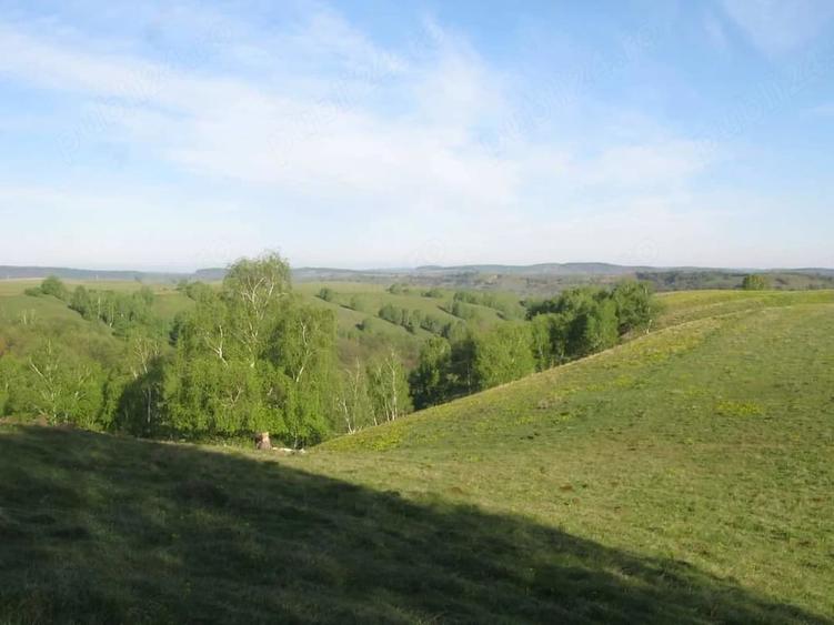 Teren de 14700 mp, în Șeica Mare
