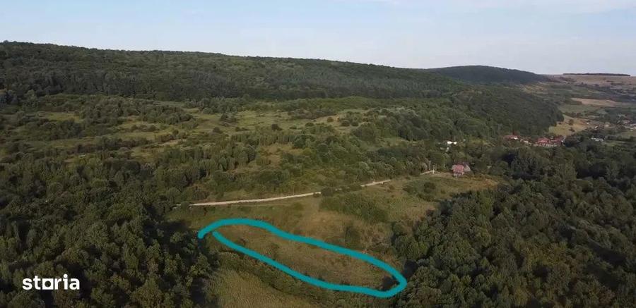 Teren de 5000 mp, în Feleacu