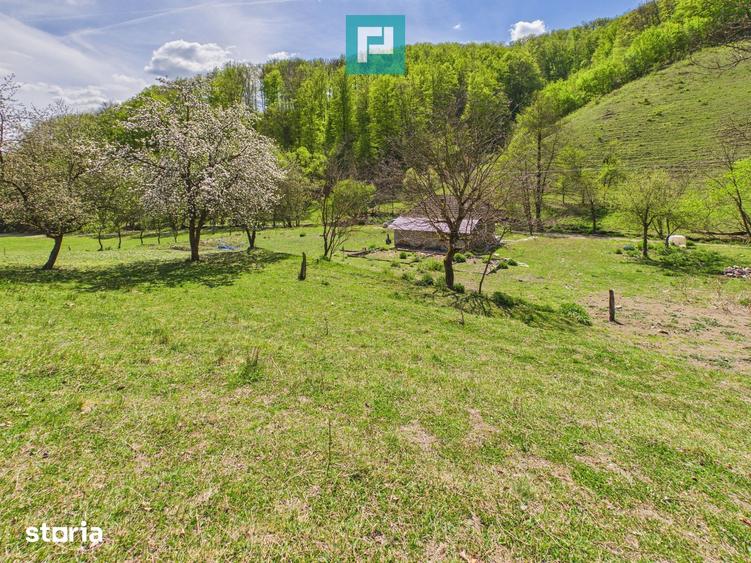 Teren de 6837 mp, în Luncoiu de Jos