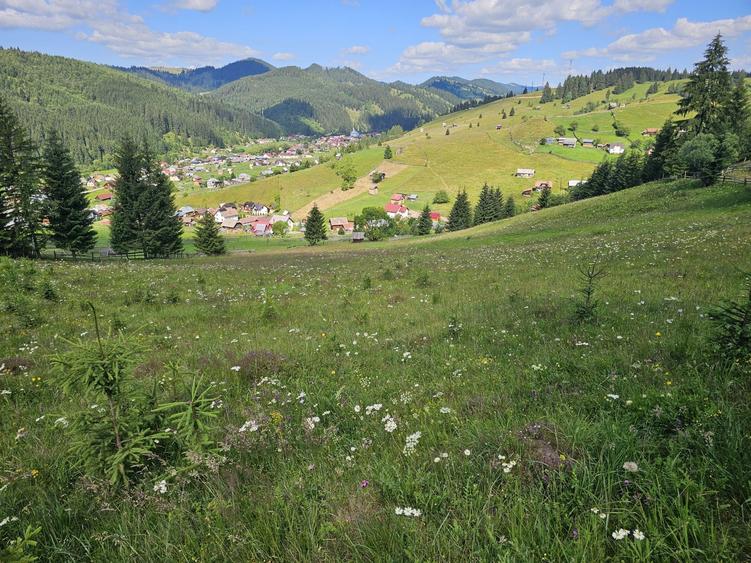 Teren extravilan de vanzare cu priveliste superba in Bucovina zona Breaza - 5