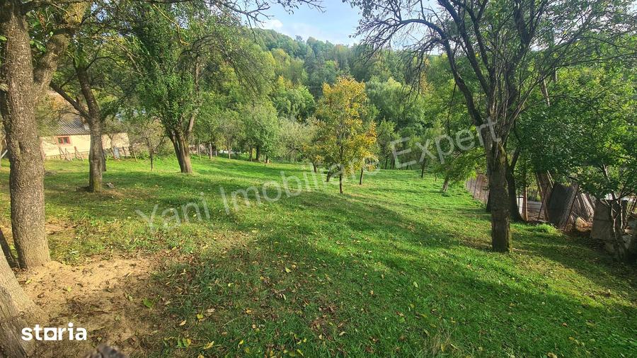 Teren de 2491 mp, în Arefu