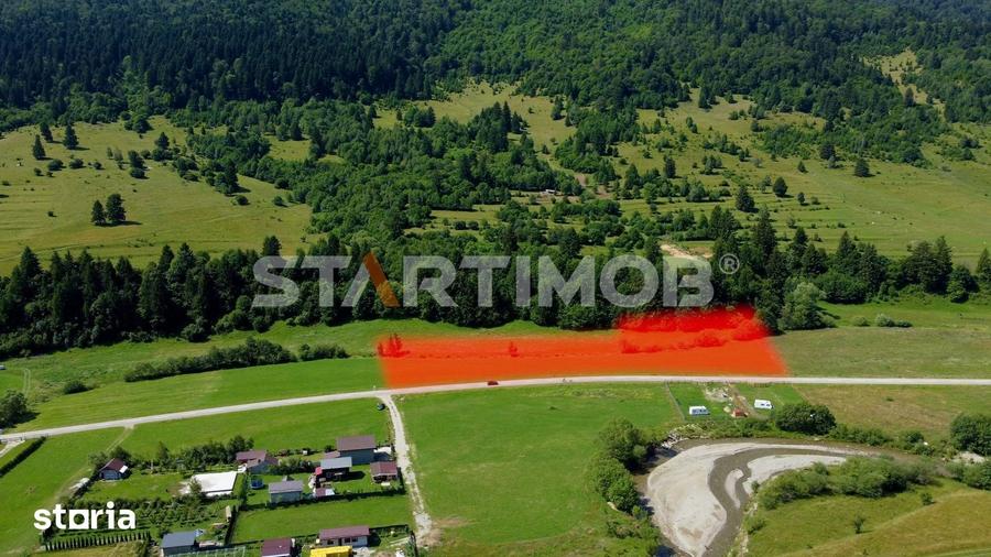 Teren de 7600 mp, în Plaiul Foii
