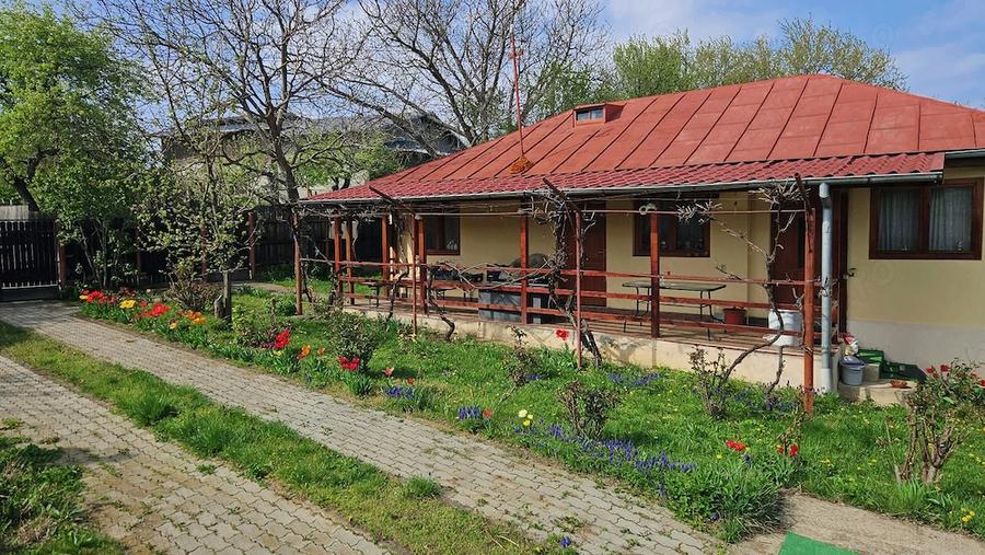 Casă cu Teren 800 Mp în Seciu