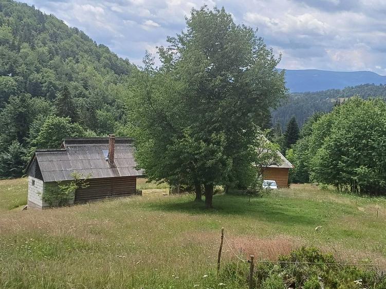 Casă cu 4 camere în Scărișoara