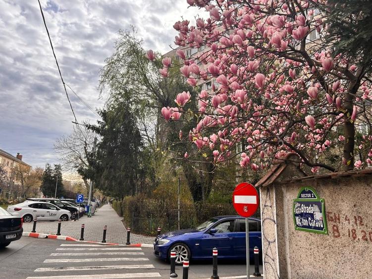 Garsonieră semidecomandată în P-ța Muncii