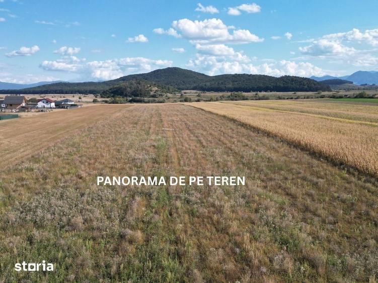 Teren de 30000 mp, în Bod