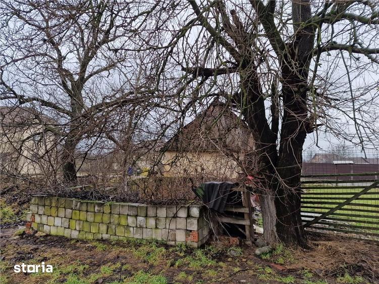 Casă cu 4 camere cu Teren 4600 Mp în Gepiu