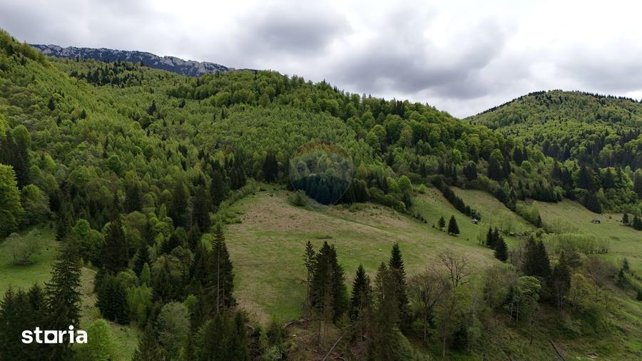 Teren de 48297 mp, în Rucăr