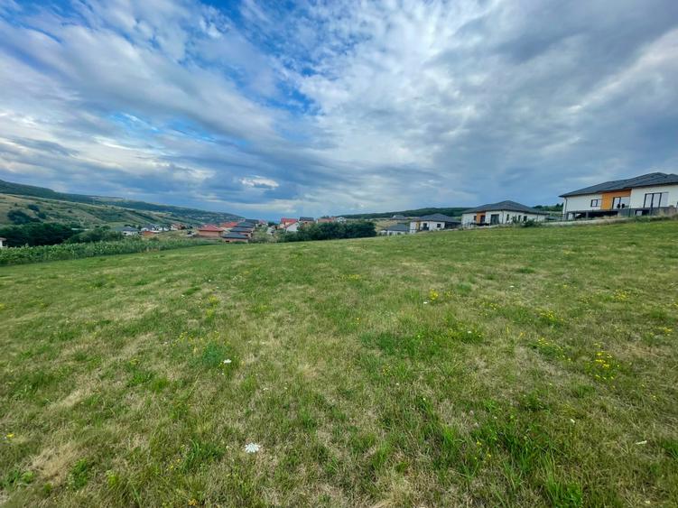 Teren Construcții intravilan de 5800 mp, în Baciu