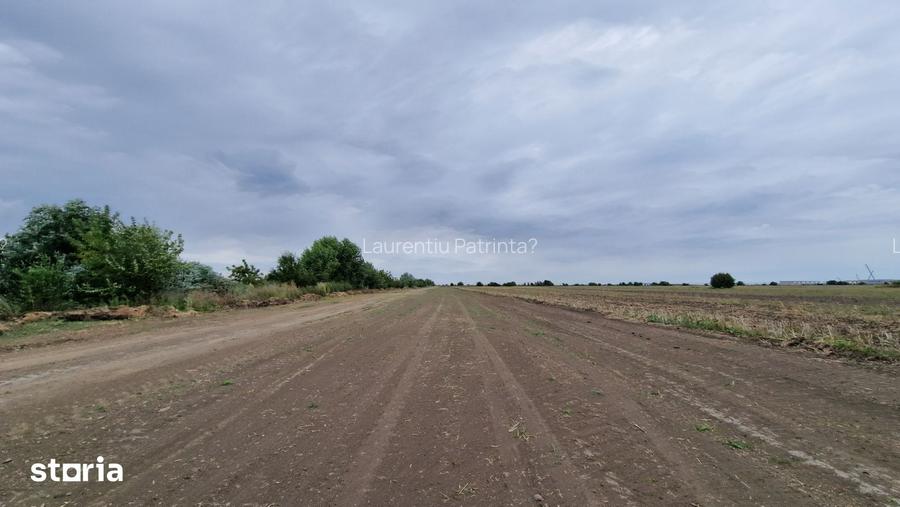 Vanzare Teren 22.800 MP Intravilan Tarla 10?tefanestii de Jos, Zon