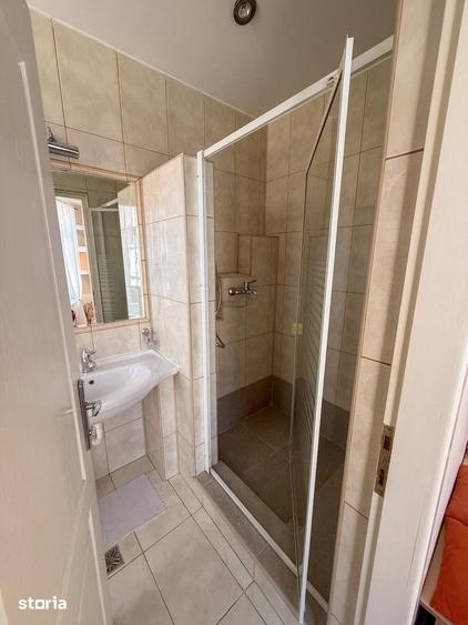 Vanzare Apartament in vila-Armeneasca - 10