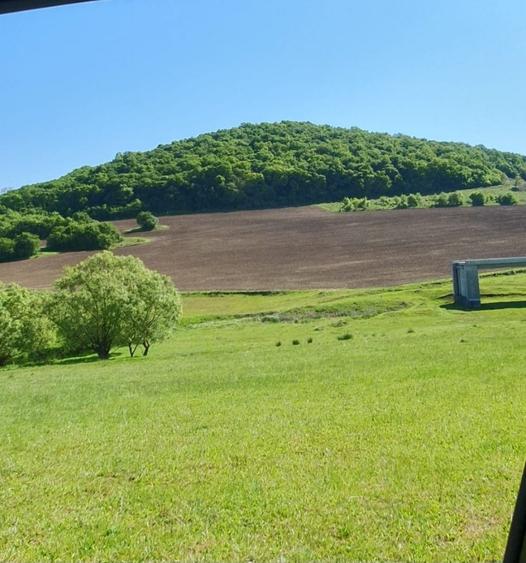 Teren de 16200 mp, în Sângeorgiu de Mureș
