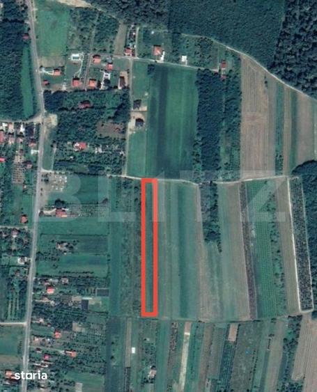 Teren de 8575 mp, în Viile Satu Mare