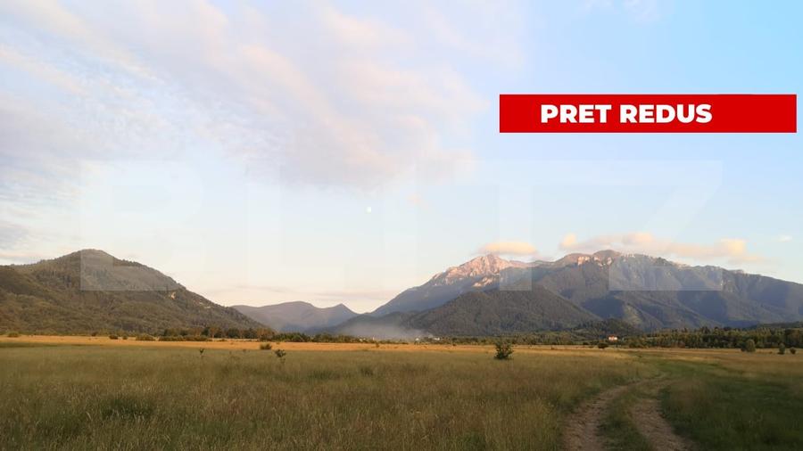 Teren agricol extravilan de 7000 mp, în Caragiale