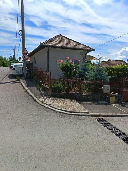 Casă cu Teren 496 Mp în Central