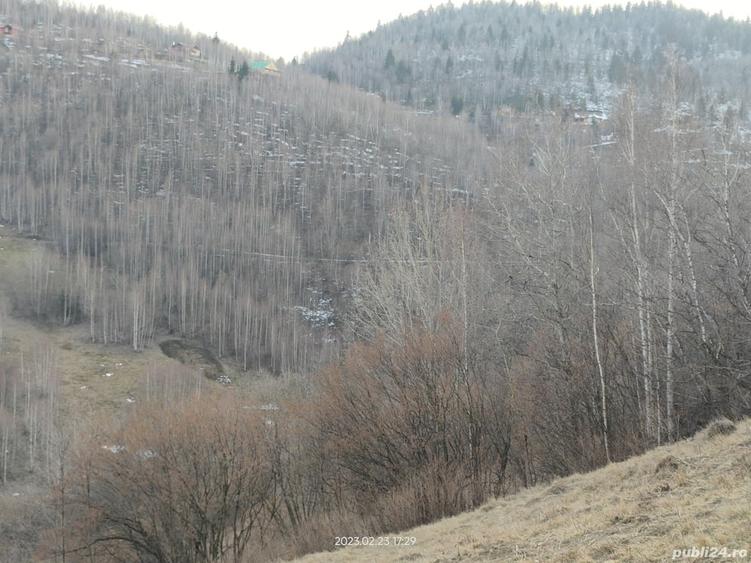 Teren de 15000 mp, în Plopi