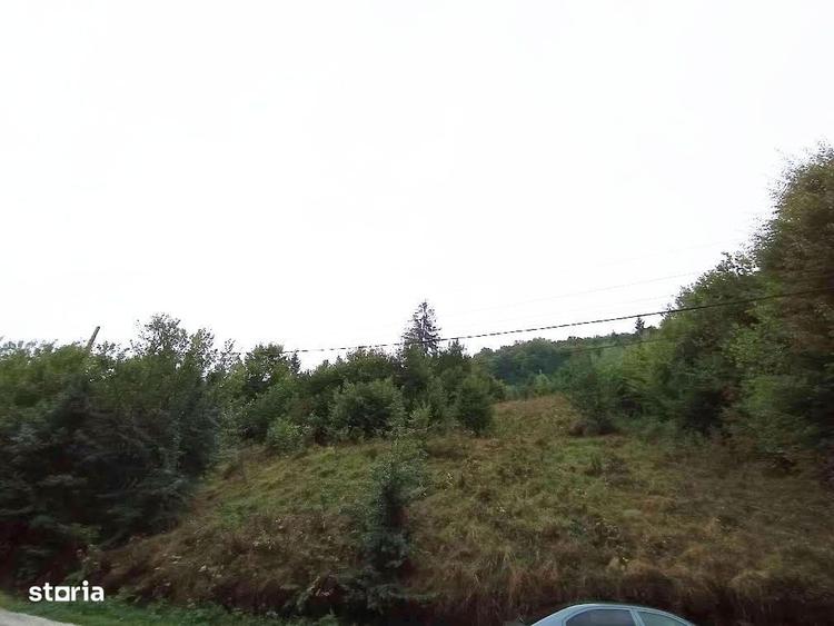 Teren de 32000 mp, în Rusca