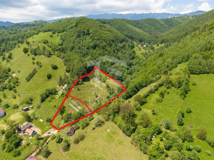 Teren Construcții intravilan de 11381 mp, în Moieciu