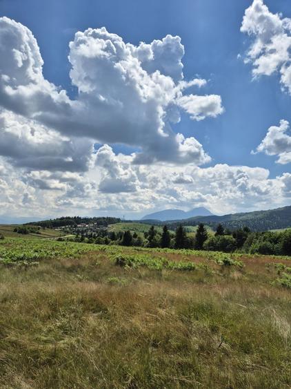 Teren de 3546 mp, în Holbav