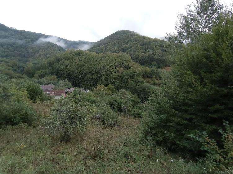 Teren Construcții extravilan de 32000 mp, în Rusca Montană